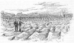 Civil War Burial Site